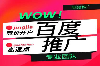 某电商平台的SEM优化案例分享